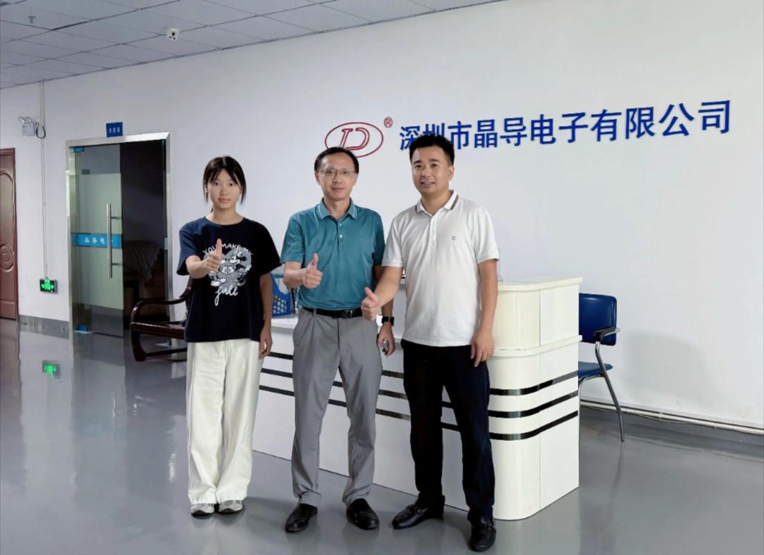 走访,国家级小巨人企业"晶导电子",专注电源ic,分立器件研